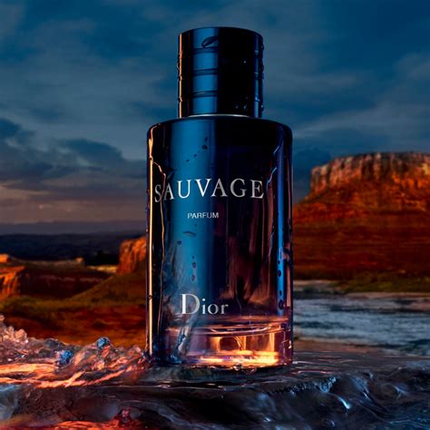 dior sauvage nordicfeel|sauvage dior perfume for men.